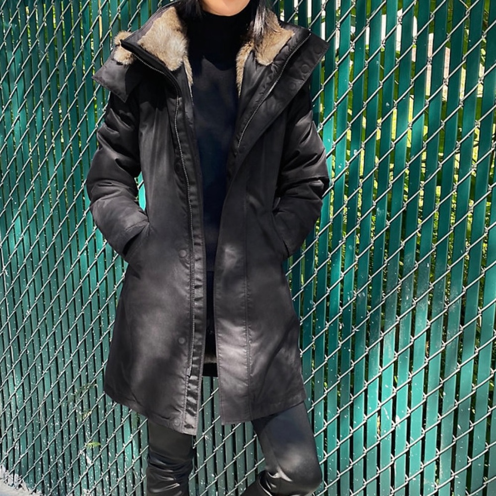 Aritzia Babaton Oskar Parka